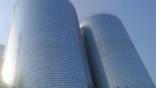 含山2座混凝土高架卷板仓